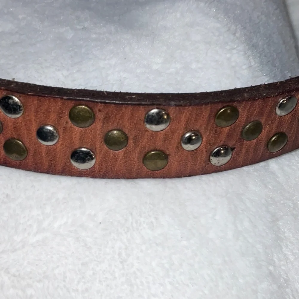 New leather dog collars